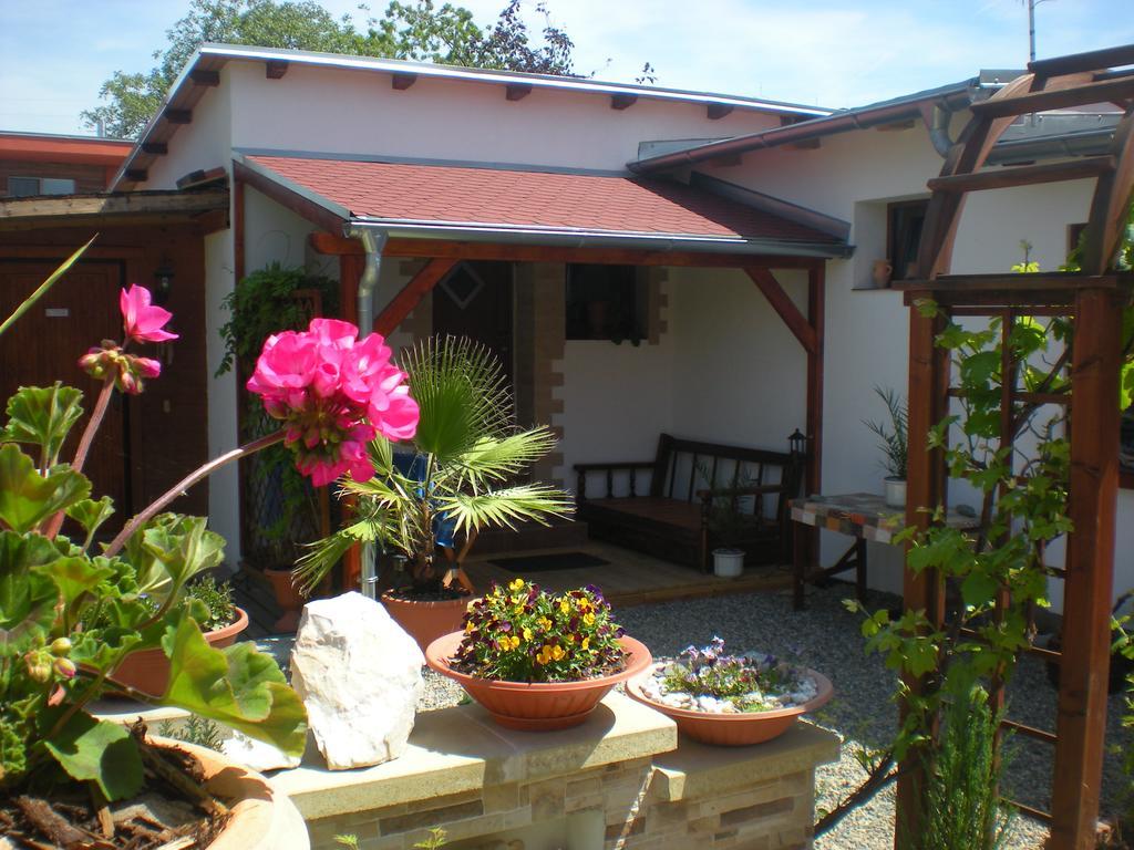 Sophia Cozy Self Catering Apartment Dolni Brezany Exteriér fotografie
