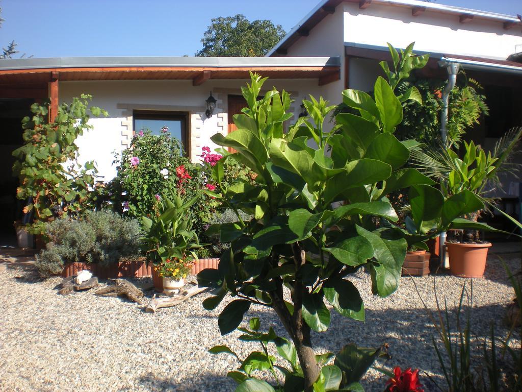 Sophia Cozy Self Catering Apartment Dolni Brezany Exteriér fotografie