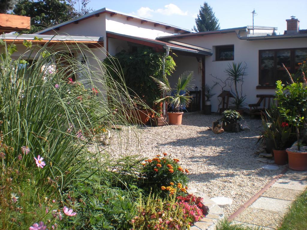 Sophia Cozy Self Catering Apartment Dolni Brezany Exteriér fotografie